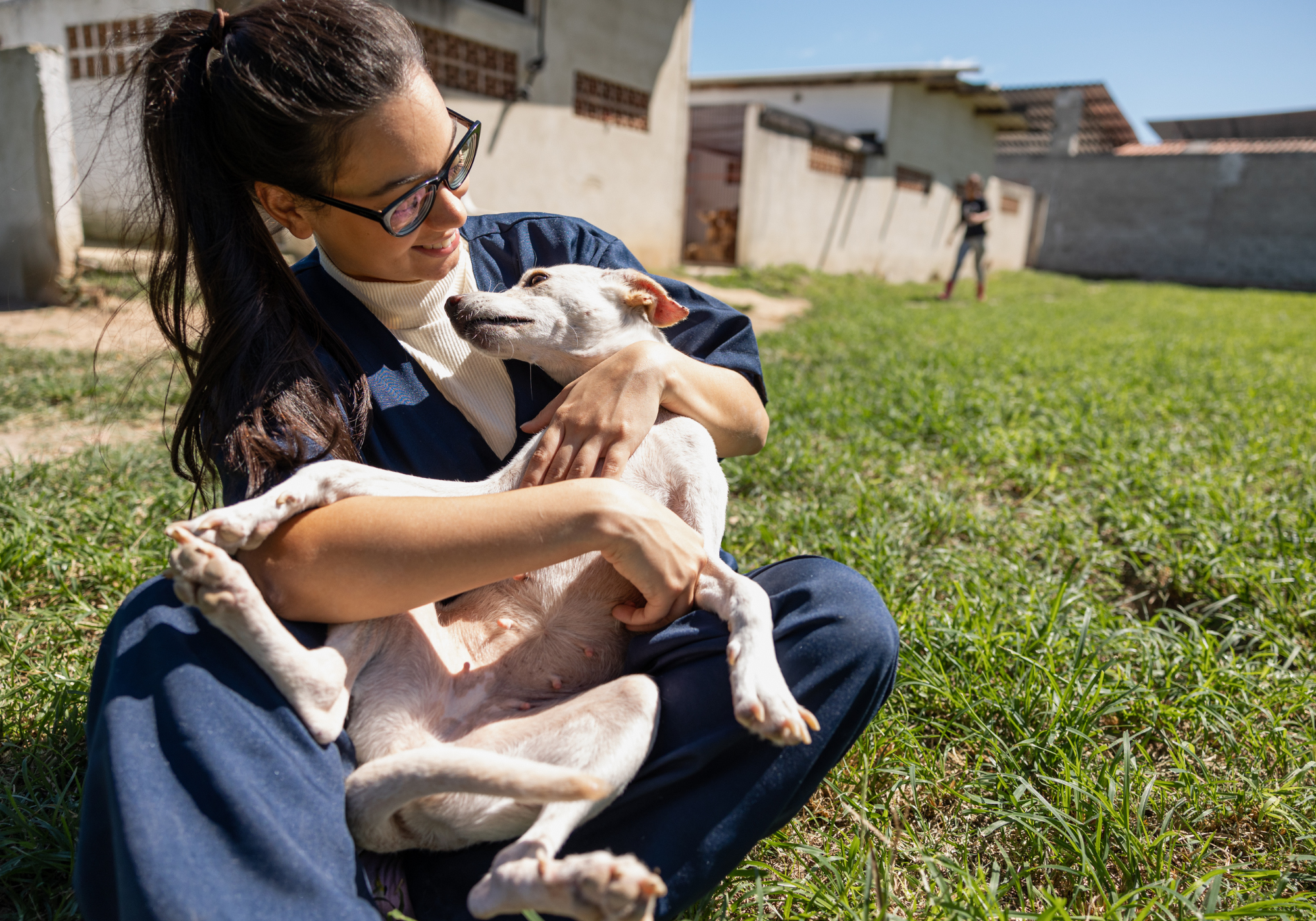 Luna Socks donates food to animal shelters