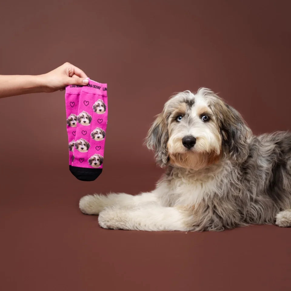 Custom Pet Socks