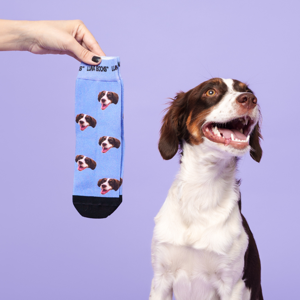 Custom Pet Socks Personalized Socks Order Now