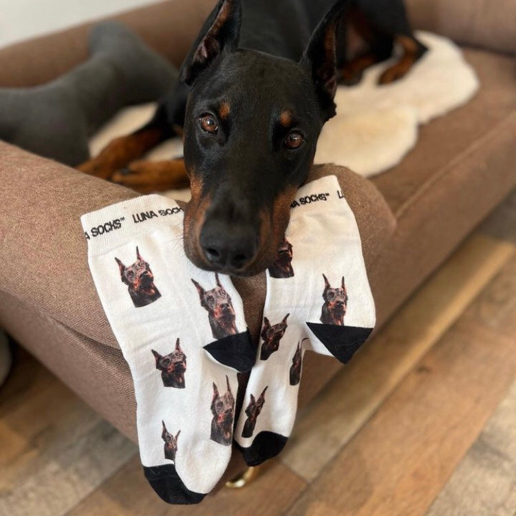 Personalised Dog Socks – heather alstead design