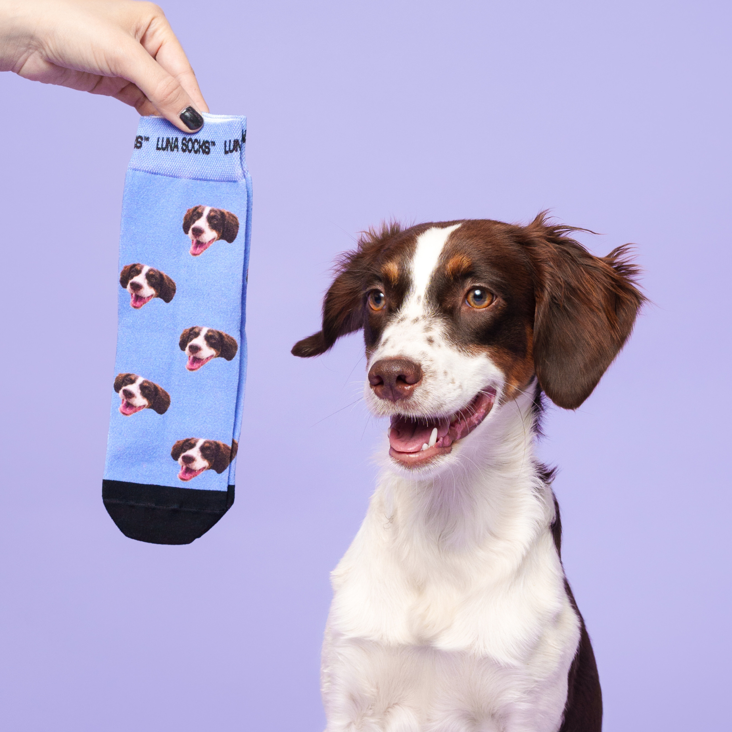 pet pic socks